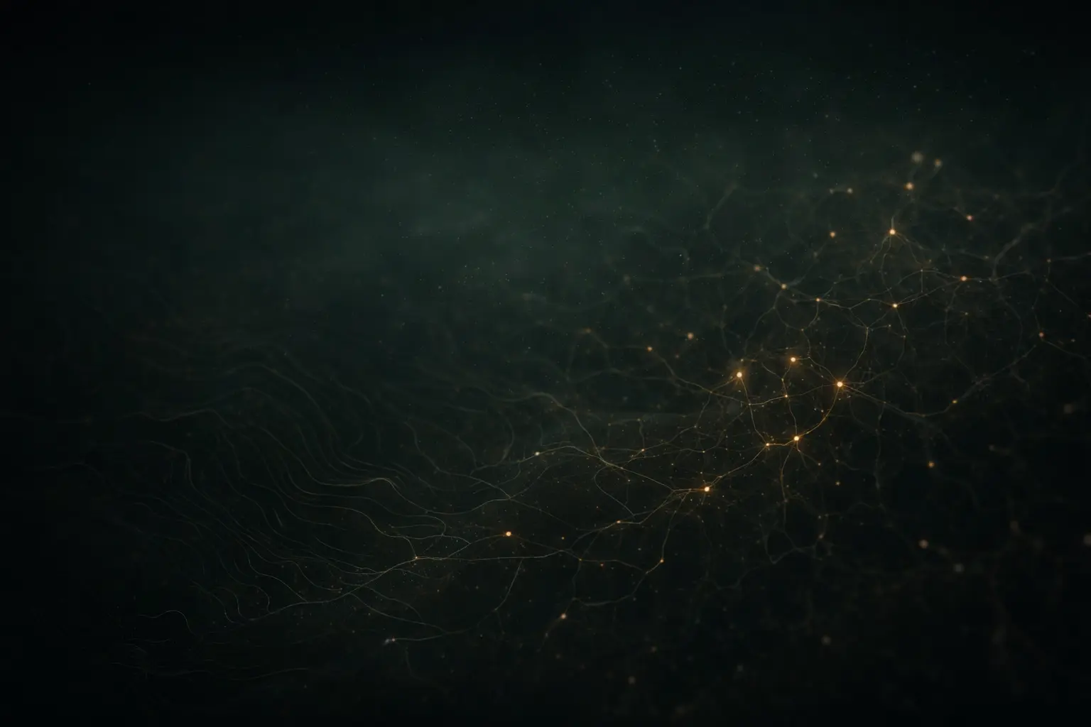 Mycelial network background
